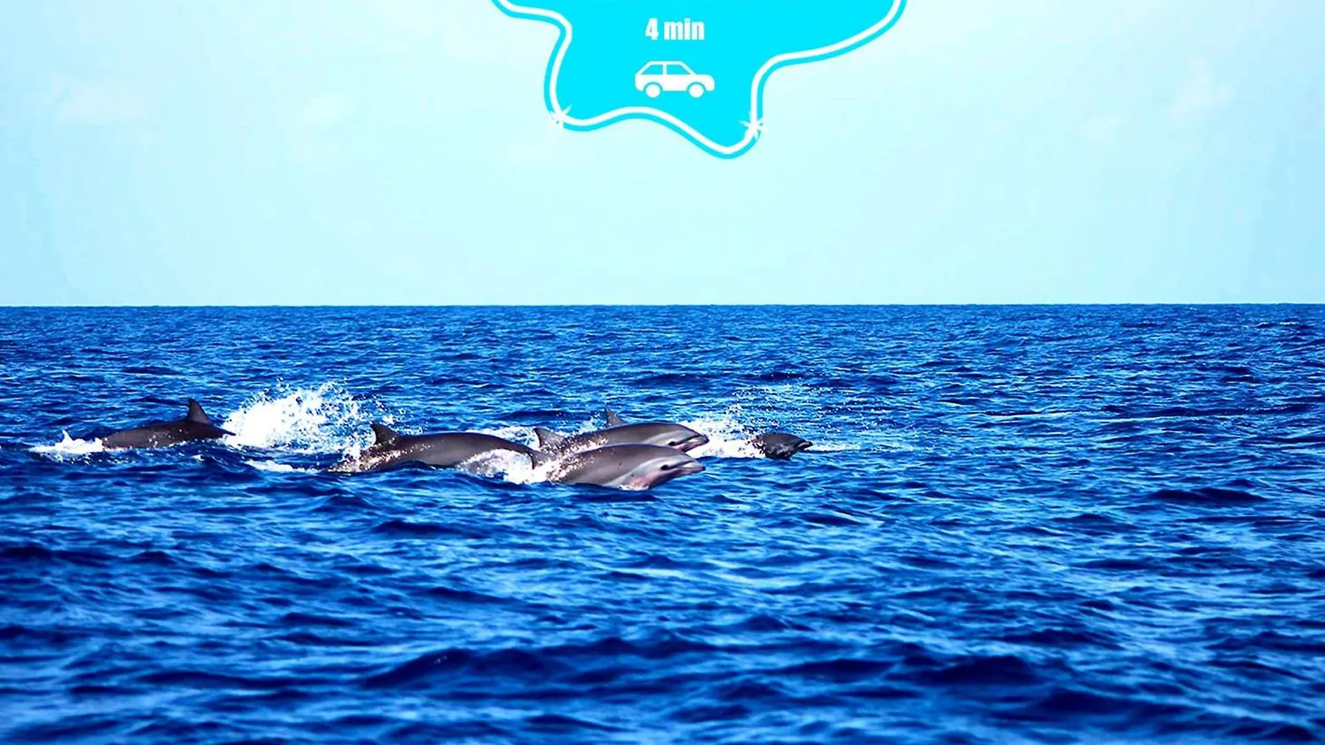F2 Climatise Piscine Vue Mer Et Montagne Pelee Trois-Ilets Les Trois-Ilets Martinique